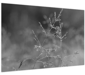 Kép - Vidéki rét (90x60 cm)