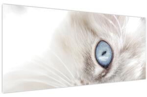 Kép - Kék szemű macska (120x50 cm)