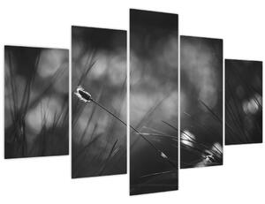 Kép - Mezei fű (150x105 cm)