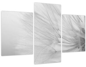Kép - Pitypang (90x60 cm)