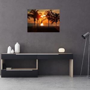 Pálmafa a naplementében képe (70x50 cm)