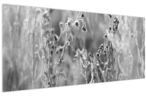 Kép - Wild Meadow (120x50 cm)