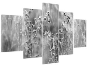 Kép - Wild Meadow (150x105 cm)
