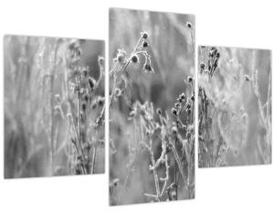 Kép - Wild Meadow (90x60 cm)
