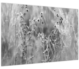 Kép - Wild Meadow (90x60 cm)