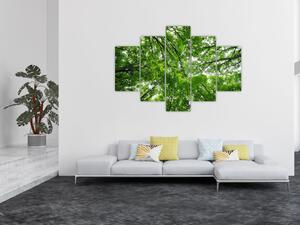 Kép - Kilátás a fák tetejére (150x105 cm)