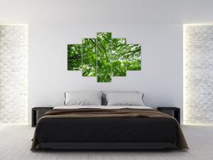 Kép - Kilátás a fák tetejére (150x105 cm)