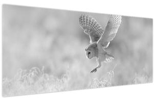 Kép - Bagoly a mezőn (120x50 cm)