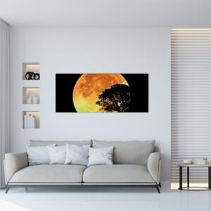 Árnyékok a holdfényben képe (120x50 cm)