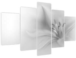 Kép - Delicate Lily (150x105 cm)