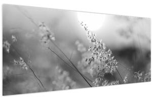Kép - Őszi rét (120x50 cm)