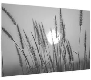 Kép - Mező naplementében (90x60 cm)