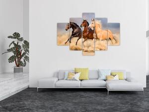 Kép - Vad lovak (150x105 cm)