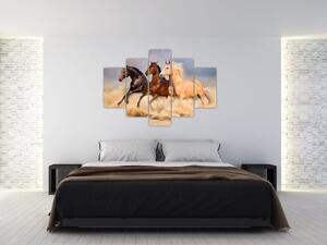 Kép - Vad lovak (150x105 cm)