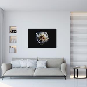 Fehér rózsa képe (90x60 cm)