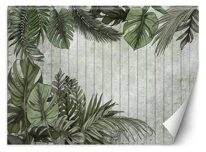 Gario Fotótapéta Egzotikus levelek fa táblákkal a háttérben Anyag: Vlies, Méret: 200 x 140 cm