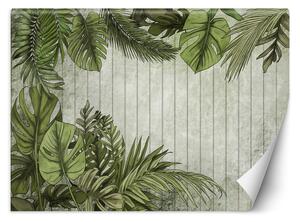 Gario Fotótapéta Zöld levelek fa táblákkal a háttérben Anyag: Vlies, Méret: 200 x 140 cm