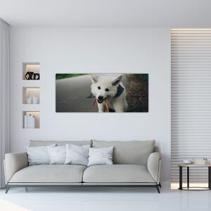 Egy fehér kutya képe (120x50 cm)