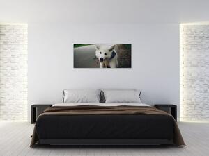 Egy fehér kutya képe (120x50 cm)