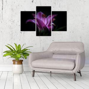 A liliom képe (90x60 cm)