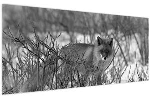 Kép - Róka télen (120x50 cm)