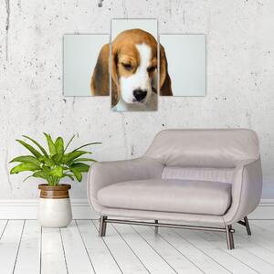 Beagle képe (90x60 cm)
