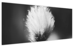 Kép - Fekete-fehér pamutfű (120x50 cm)