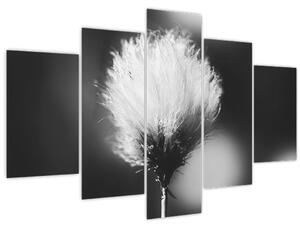 Kép - Fekete-fehér pamutfű (150x105 cm)