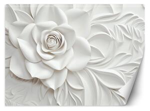 Gario Fotótapéta Gyönyörű fehér rózsa Anyag: Vlies, Méret: 200 x 140 cm