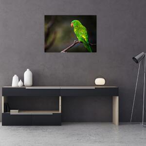 Papagáj egy ágon képe (70x50 cm)