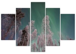 Az aurora borealis képe fagyos fák felett (150x105 cm)