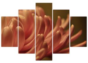 A virág részletének képe (150x105 cm)