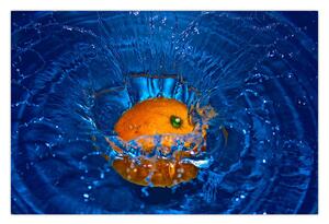 Kép - narancs a vízben (90x60 cm)
