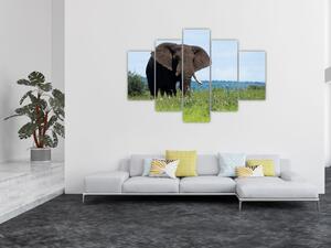 Egy elefánt képe (150x105 cm)