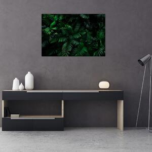 Kép - trópusi páfrány (90x60 cm)