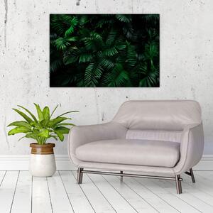 Kép - trópusi páfrány (90x60 cm)