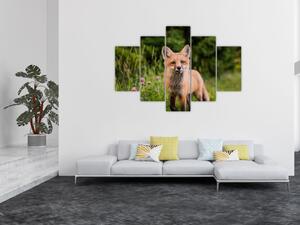 Egy róka képe (150x105 cm)
