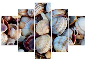 Kagyló képe (150x105 cm)