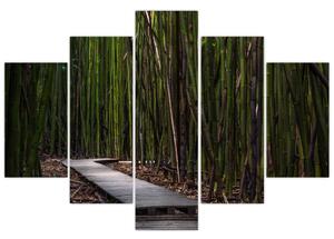 Kép - A bambuszok között (150x105 cm)