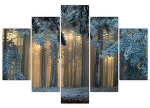 A havas erdő képe (150x105 cm)