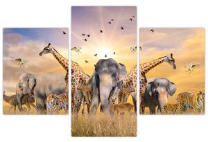 Kép - Afrikai állatok (90x60 cm)