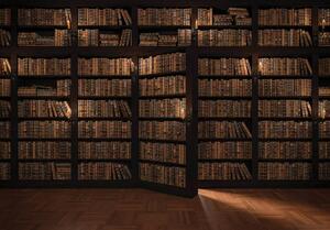 Fotótapéta - Könyvekkel teli könyvtár (152,5x104 cm)