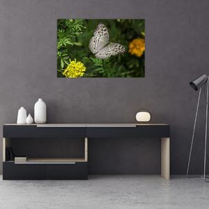 Kép - fehér pillangó (90x60 cm)