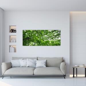 Kép - Kilátás a fák tetejére (120x50 cm)