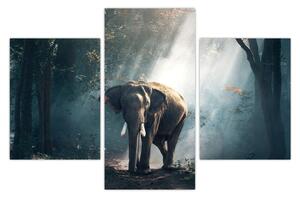 Elefánt a dzsungelben képe (90x60 cm)