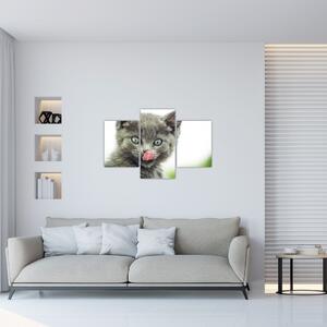 Nyaló cica képe (90x60 cm)