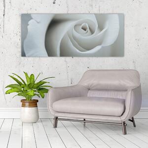 Kép - Fehér rózsa (120x50 cm)