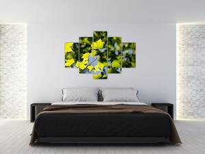 Kép - juhar levelek (150x105 cm)