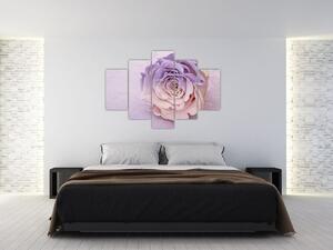 Egy rózsa virág részlete (150x105 cm)