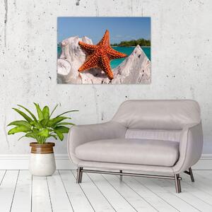 Egy tengeri csillag képe (70x50 cm)